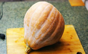 运南瓜的教案优秀5篇