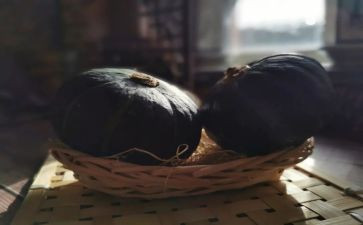 运南瓜的教案6篇