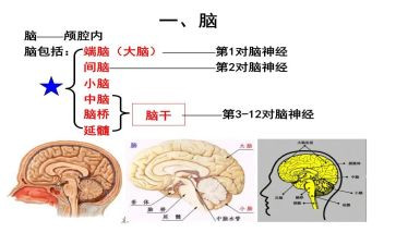 电脑的作文精选5篇