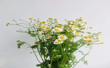 那些日子600作文6篇