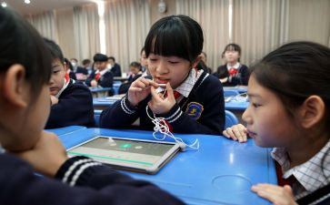 小学一年级语文统编教材培训心得体会6篇