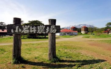 在农场教案8篇