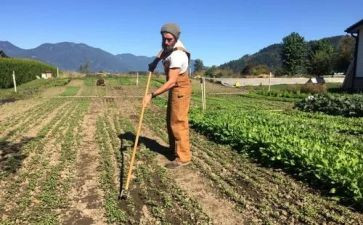 农夫和羊读后感6篇