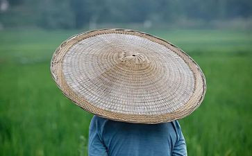 农夫和羊读后感推荐7篇