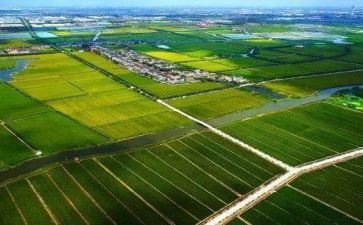 2024年农业工作个人总结最新7篇