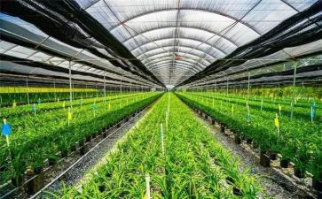 农业技术员个人总结5篇