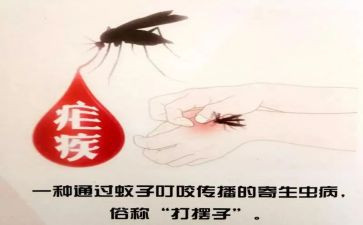 2024疟疾宣传活动总结最新7篇
