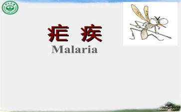 2024疟疾宣传活动总结6篇