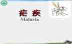 2024疟疾宣传活动总结6篇