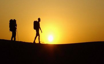 《我的偶像》作文800字模板6篇