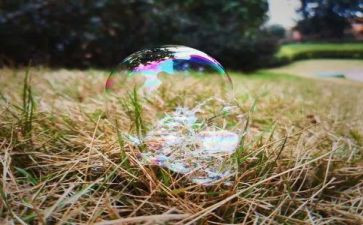 中班科学教案吹泡泡教案通用5篇