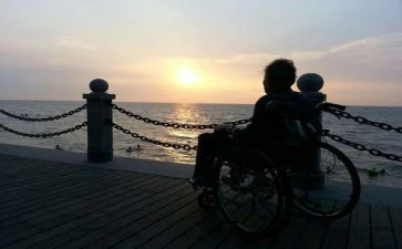 书陪伴的作文最新7篇