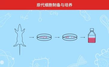培养组的工作总结范文6篇