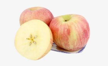 苹果外婆树上的读后感模板6篇