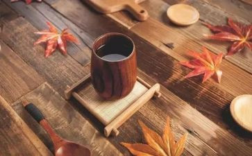 品味端午小学演讲稿5篇
