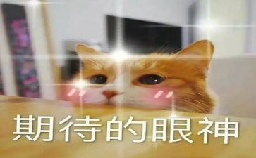 我期待的暑假作文8篇
