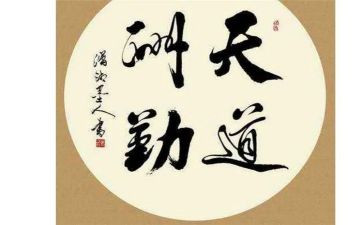 医院后勤半年工作总结8篇