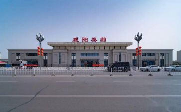 秦都区党支部述职报告最新5篇