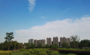 秦都区党支部述职报告优质6篇