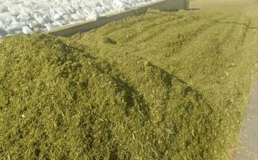 青储买卖合同精选5篇