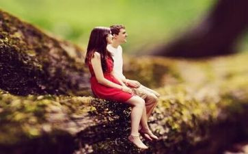 社会情感类教案8篇