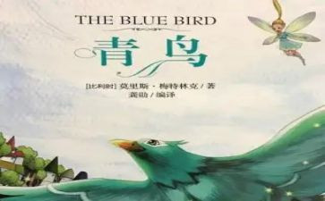 青鸟的读后感8篇
