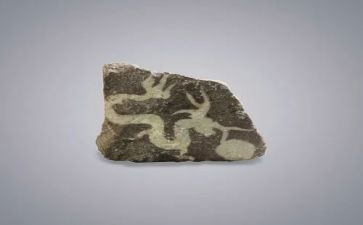 黄山奇石的作文8篇