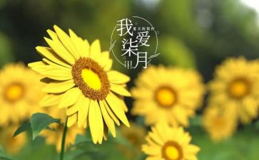 七月份工作计划8篇