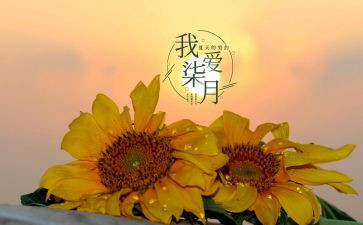 幼儿园七月份月工作计划8篇