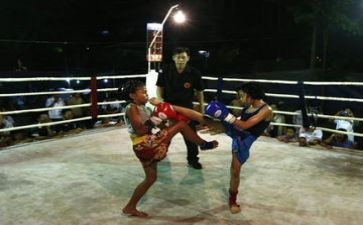 螳螂拳教案通用6篇