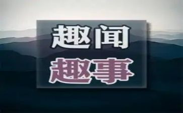 写小学生活趣事的作文8篇