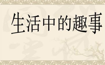 我的趣事多作文5篇