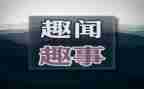 五一趣事二年级作文8篇
