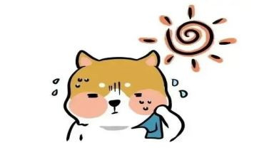 热爱生命的读后感作文8篇