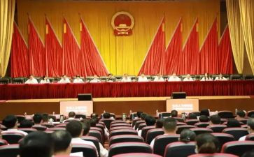 人大代表素述职质报告5篇