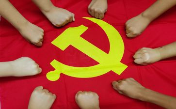 镇人大代表的述职报告8篇