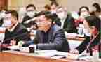 镇人代表述职报告参考7篇