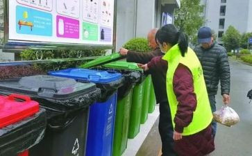 扔垃圾分类作文优质5篇