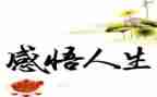 人生如作文800字5篇