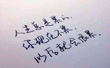 鸟与人心得体会5篇
