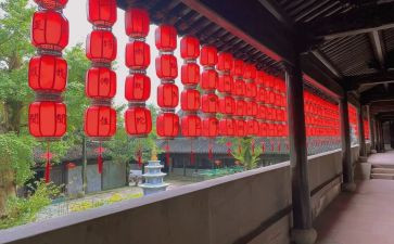 作文小学三年级300字5篇