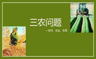 三农工作会议讲话稿8篇