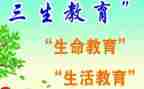 高三生物年终总结5篇