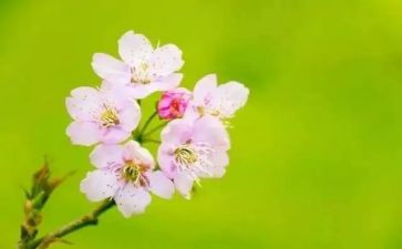 三月学生活动总结5篇