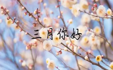 小班三月总结参考5篇