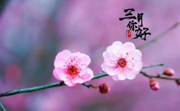 幼儿园大大班三月份工作总结5篇