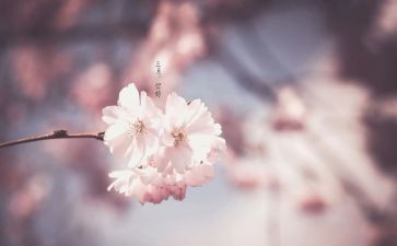 小班三月总结7篇