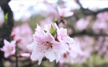 三月份教师工作总结5篇
