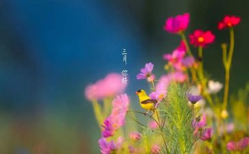 幼儿园三月保育工作总结7篇