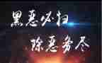 2023扫黑除恶心得体会6篇